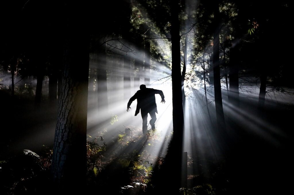 eery, fear, stalk
